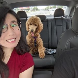 Meet your Posher, Shannon